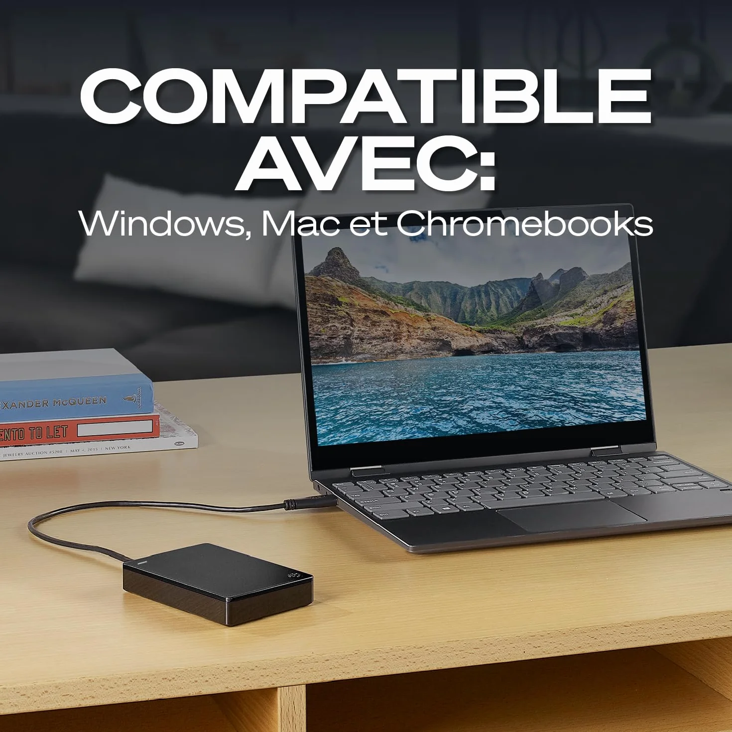 Seagate Portable 2 To USB 3.0 Disque dur externe pour Mac PC