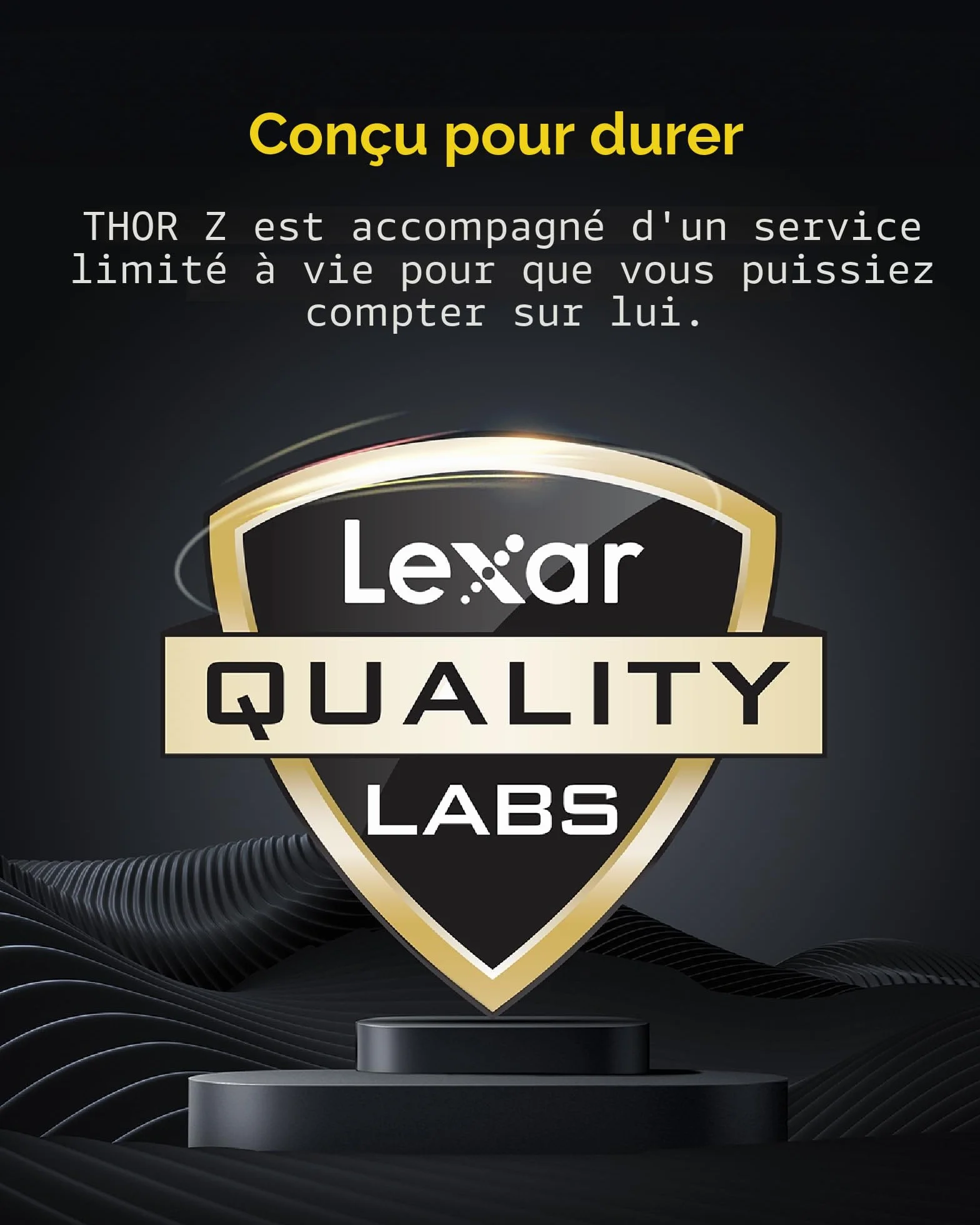 Lexar Thor Z Series OC DDR5 RAM 32Go Kit (2x16Go) 6000 MHz CL36 DRAM UDIMM 288-Pin PC Mémoire de Bureau DDR5 pour Intel XMP 3.0/AMD Expo Gaming 1.4V