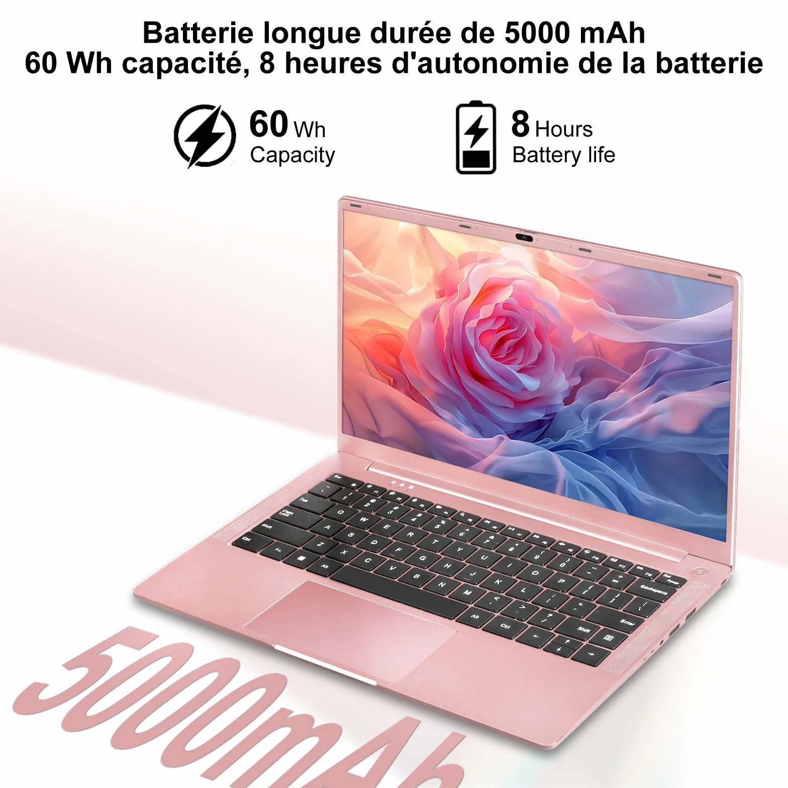 Ordinateur Portable 14 Pouces Celeron N5095 Win11 Pro 8Go RAM 256Go SSD 5G WiFi 1920x1080 FHD PC Portable Doré Métal
