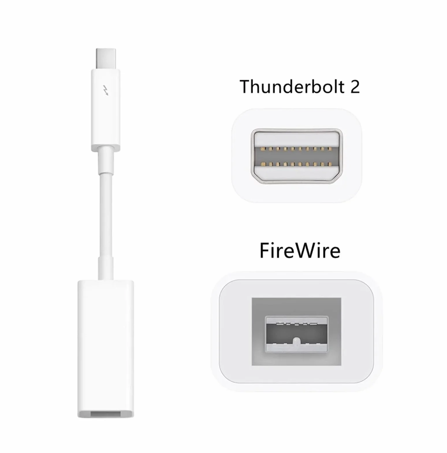 Adaptateur Thunderbolt vers FireWire 800 Compatible Thunderbolt 2 FireWire 1394B