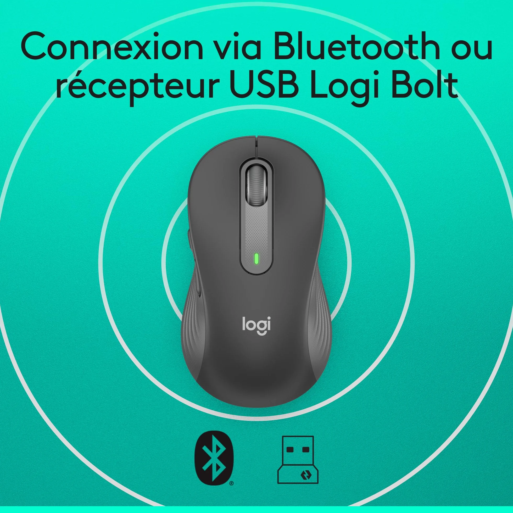 Logitech Signature M650 L Souris sans Fil Grande Taille Bluetooth Gris