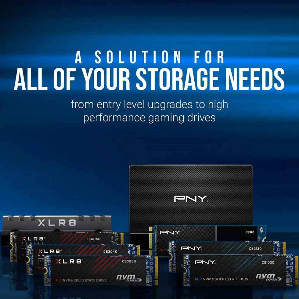 PNY CS900 SSD Interne SATA III 2.5 Pouces 250Go 535MB/s