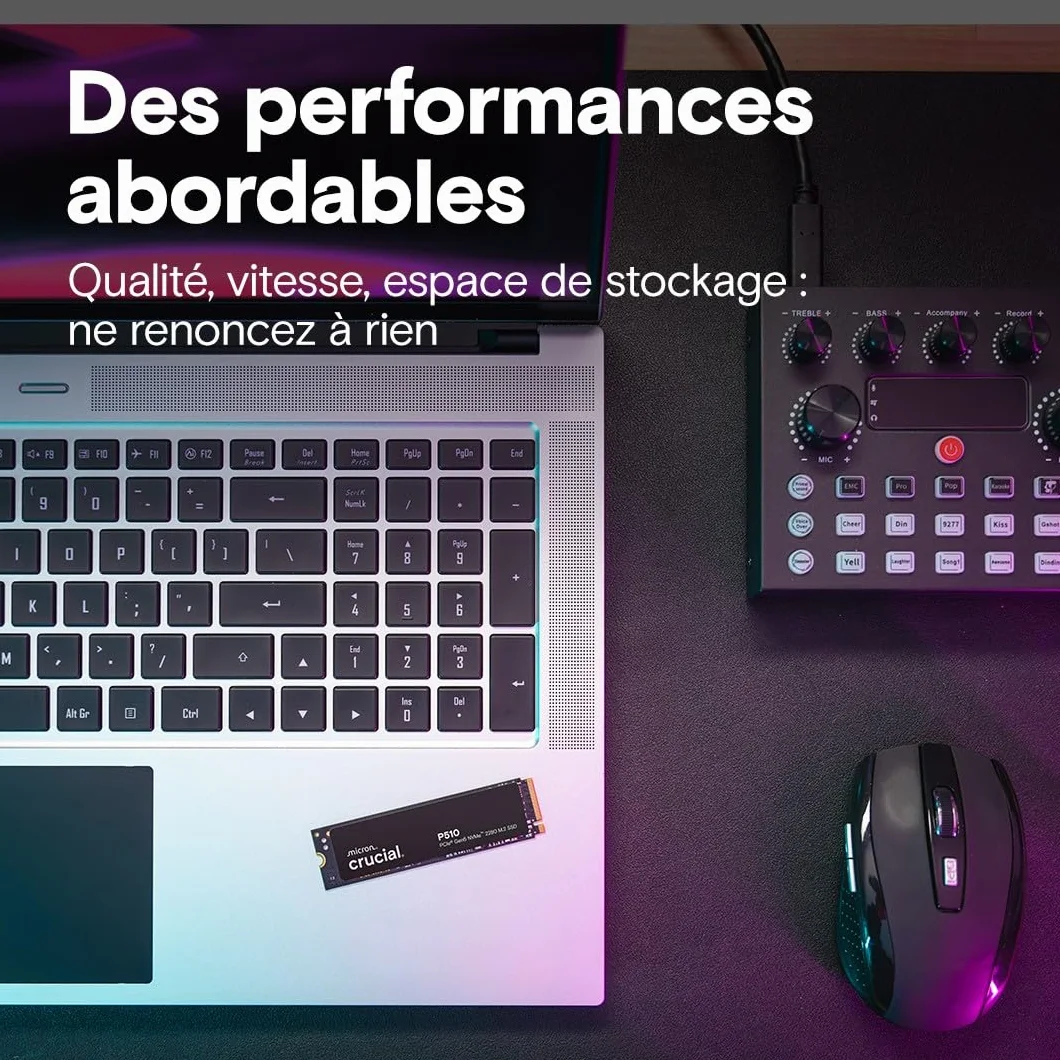 Crucial P510 SSD 1To PCIe 5.0 x4 NVMe M.2, Lecture 11.000 Mo/s, Écriture 9.500 Mo/s, TLC NAND, Disque Dur Interne