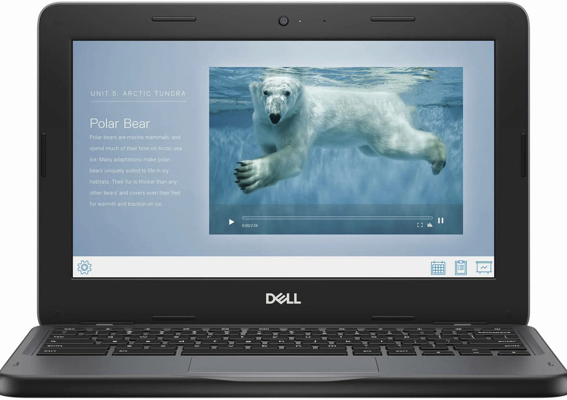 Dell Chromebook 3110 Ordinateur Portable 11,6 Pouces HD Intel Celeron N4500 4 Go RAM eMMC 32 Go Chrome OS Reconditionné