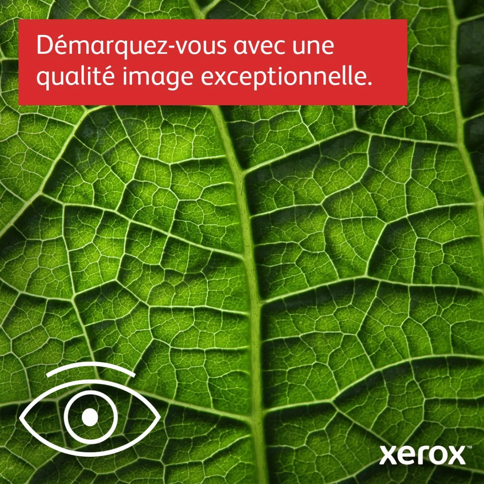 Xerox B225dni Imprimante Multifonction Laser A4 Noir et Blanc sans Fil Recto-Verso Copier Imprimer Scanner