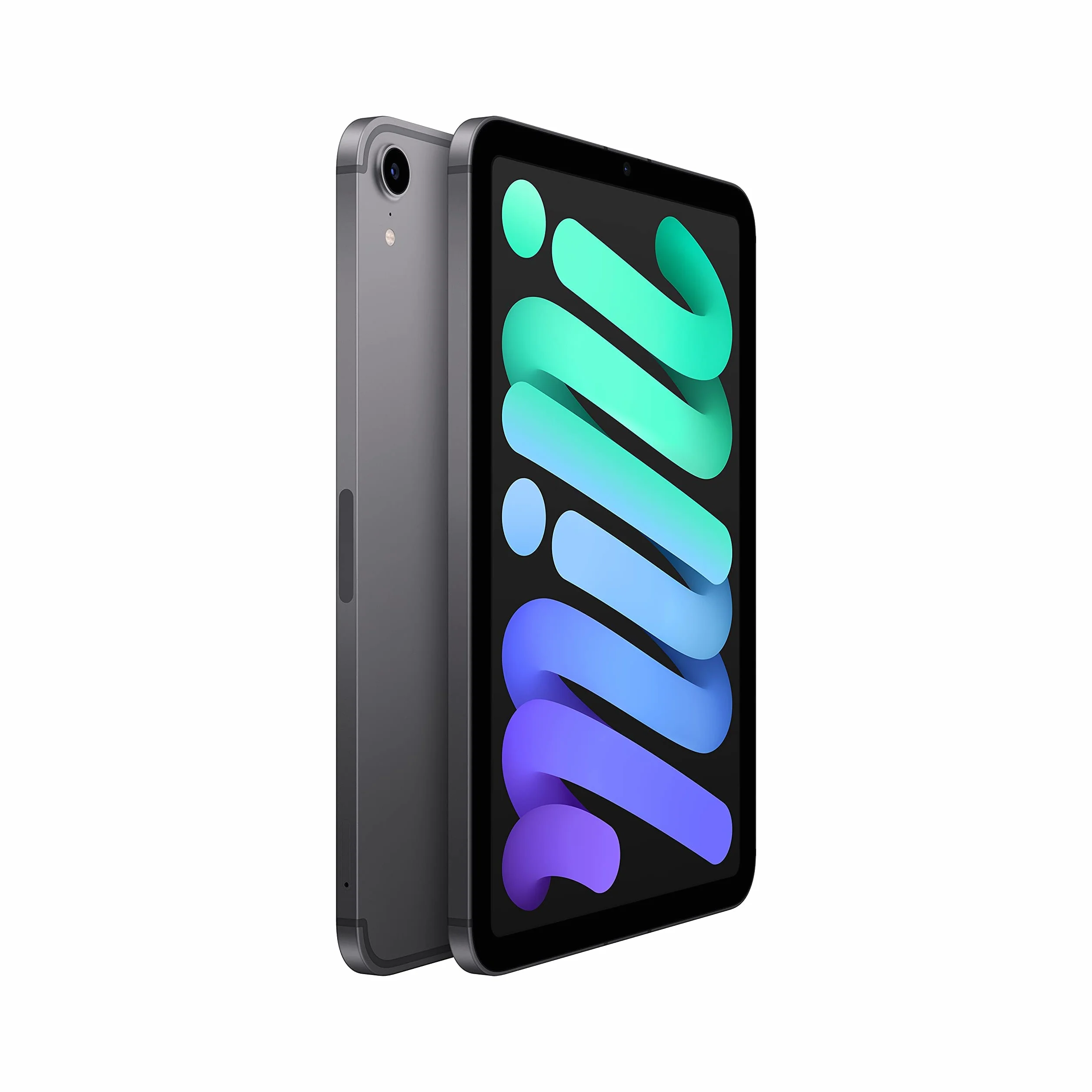 Apple iPad Mini 2021 8,3" Wi-Fi + Cellulaire 64 Go Gris Sidéral Reconditionné