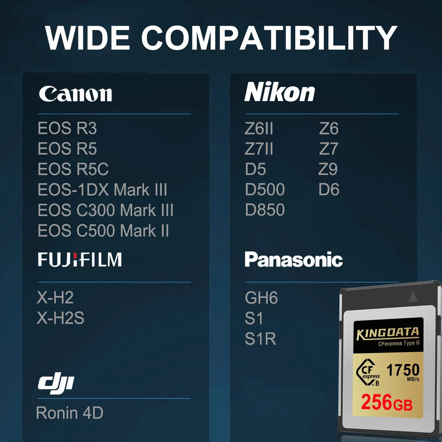 Carte Mémoire CFexpress Type B 256Go 1750 Mo/s Lecture 8K 4K RAW