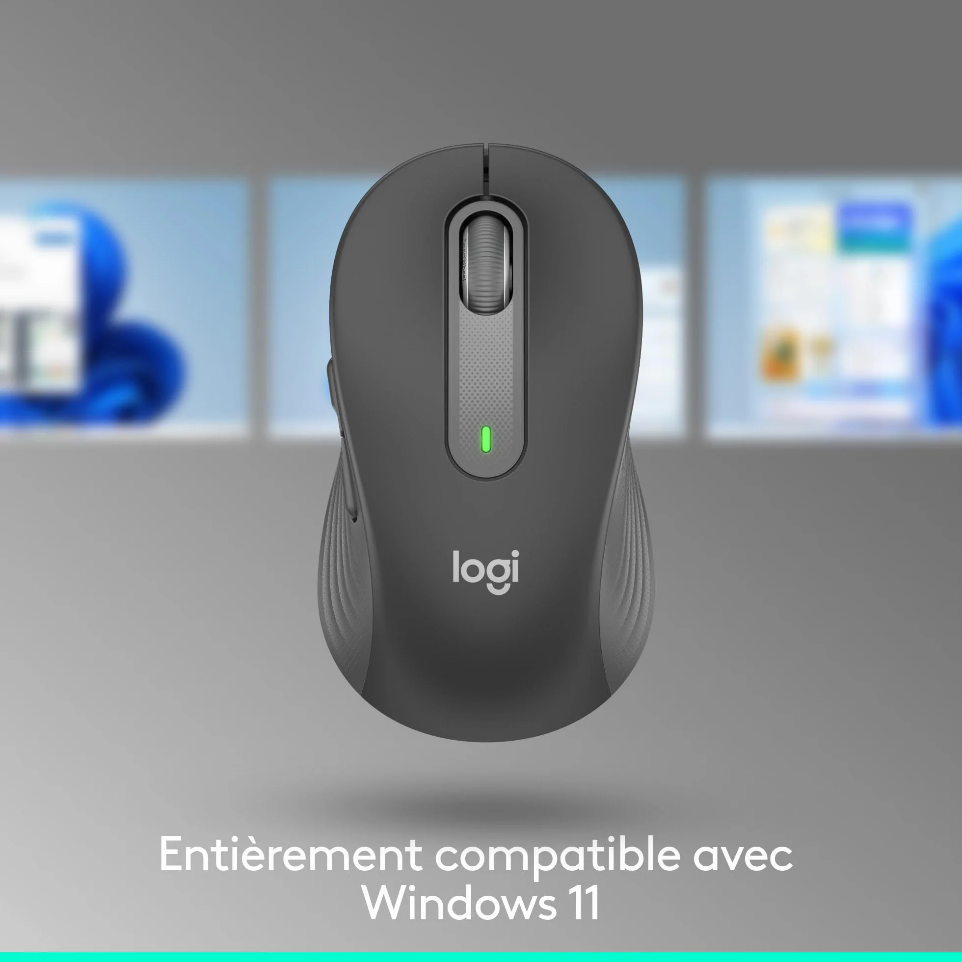 Logitech Signature M650 L Souris sans Fil Grande Taille Bluetooth Gris