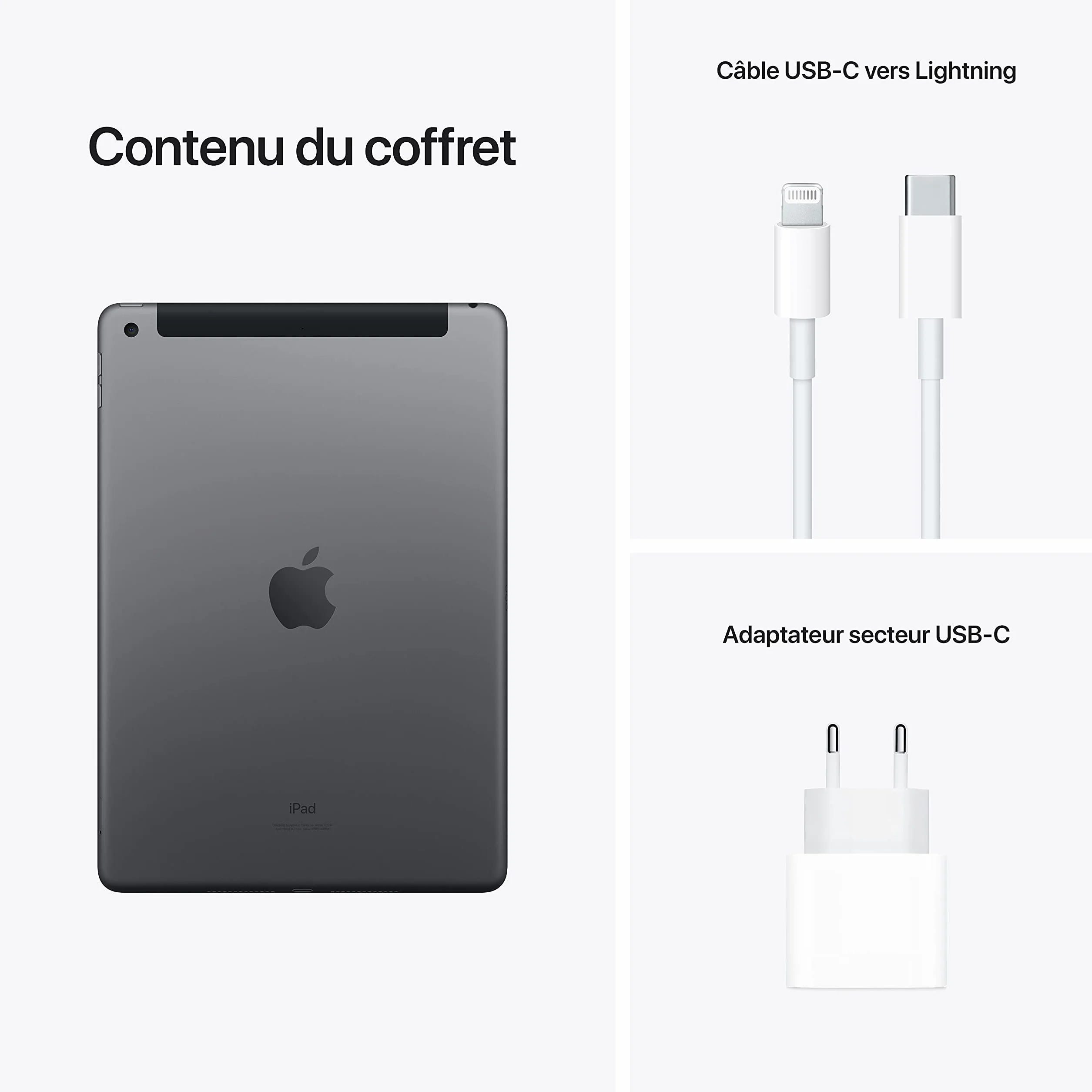 Apple iPad 10,2" Wi-Fi + Cellulaire 64 Go Gris Sidéral Reconditionné
