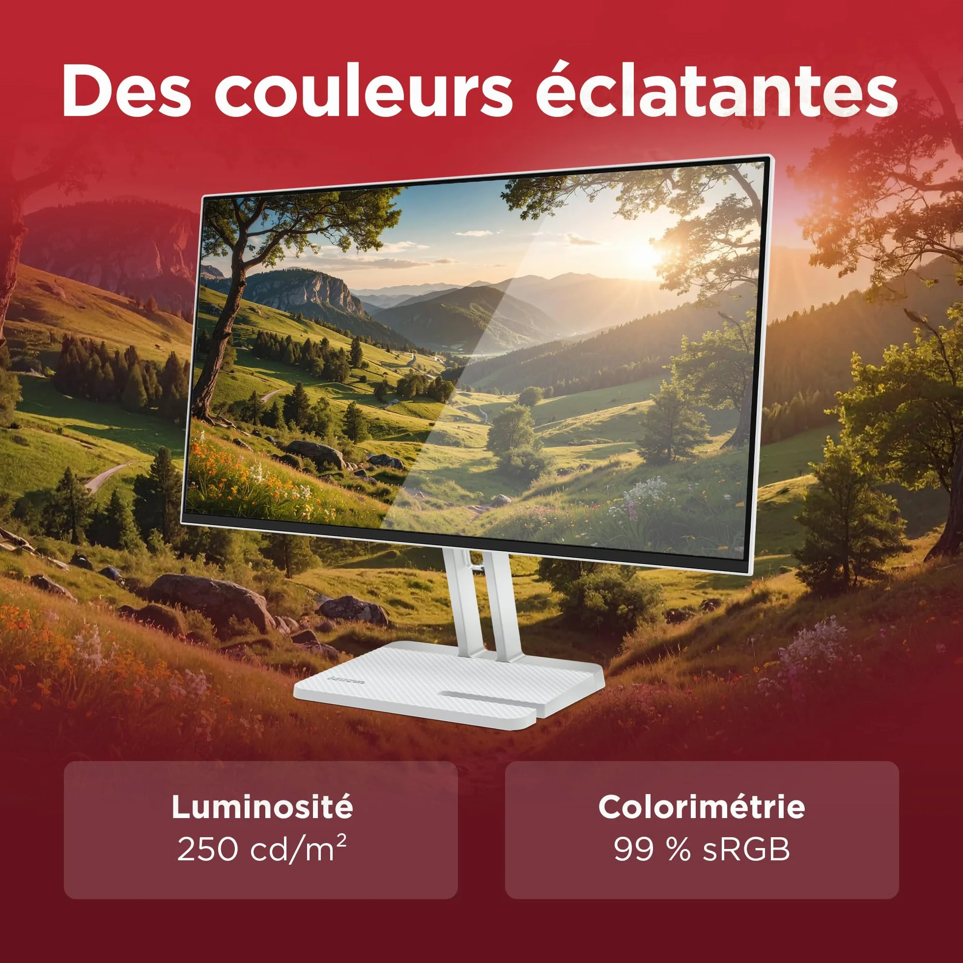 Lenovo L24-4C Écran 23.8'' FHD IPS 144 Hz 1 ms VGA HDMI Gris