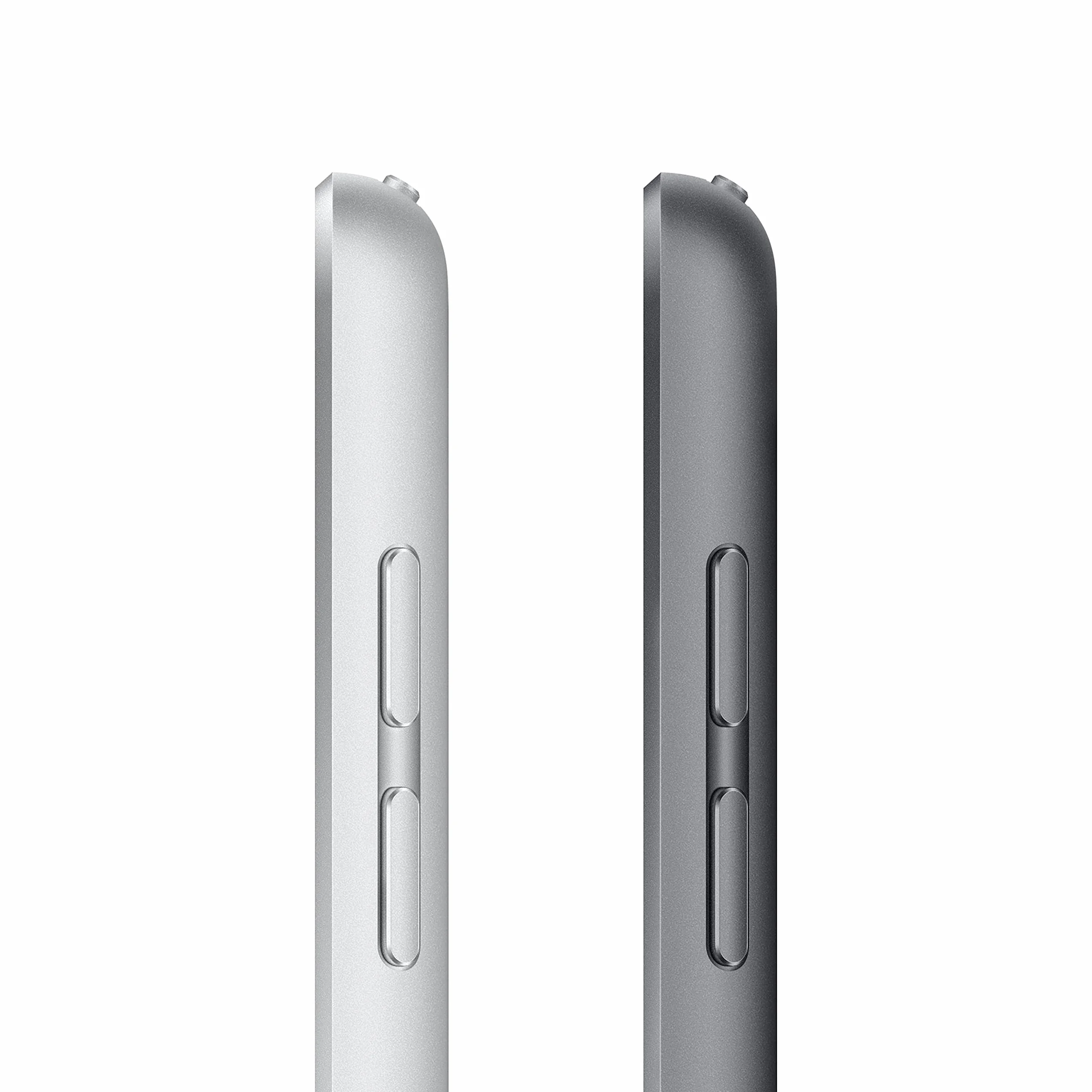 Apple iPad 10,2" Wi-Fi + Cellulaire 64 Go Gris Sidéral Reconditionné