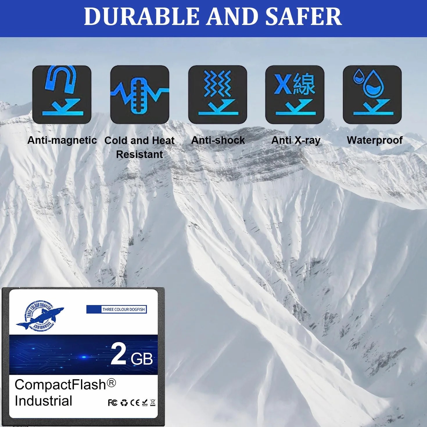 Dogfish Carte Mémoire Compact Flash 2Go 5 Pack CF Type I pour Appareil Photo Numérique