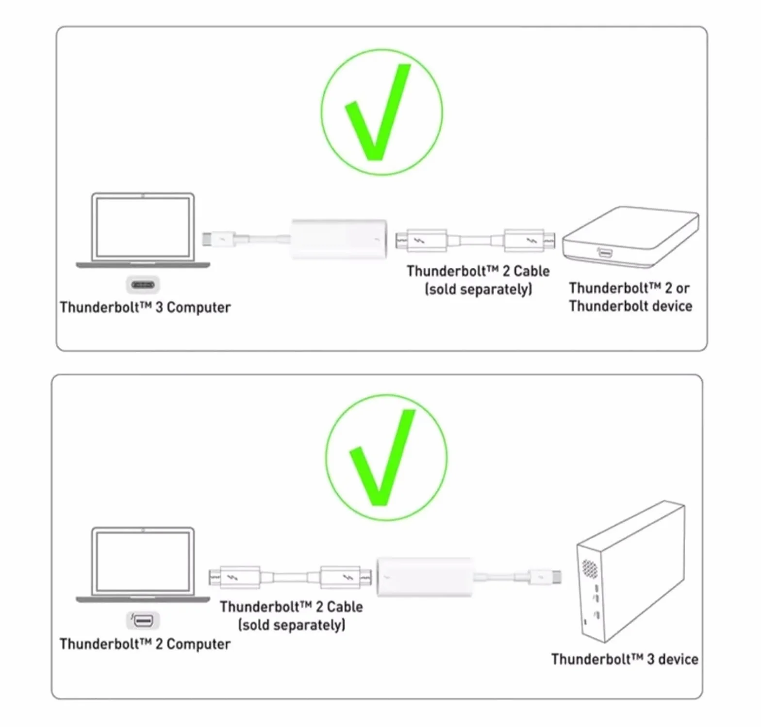 Adaptateur Thunderbolt vers FireWire 800 Compatible Thunderbolt 2 FireWire 1394B