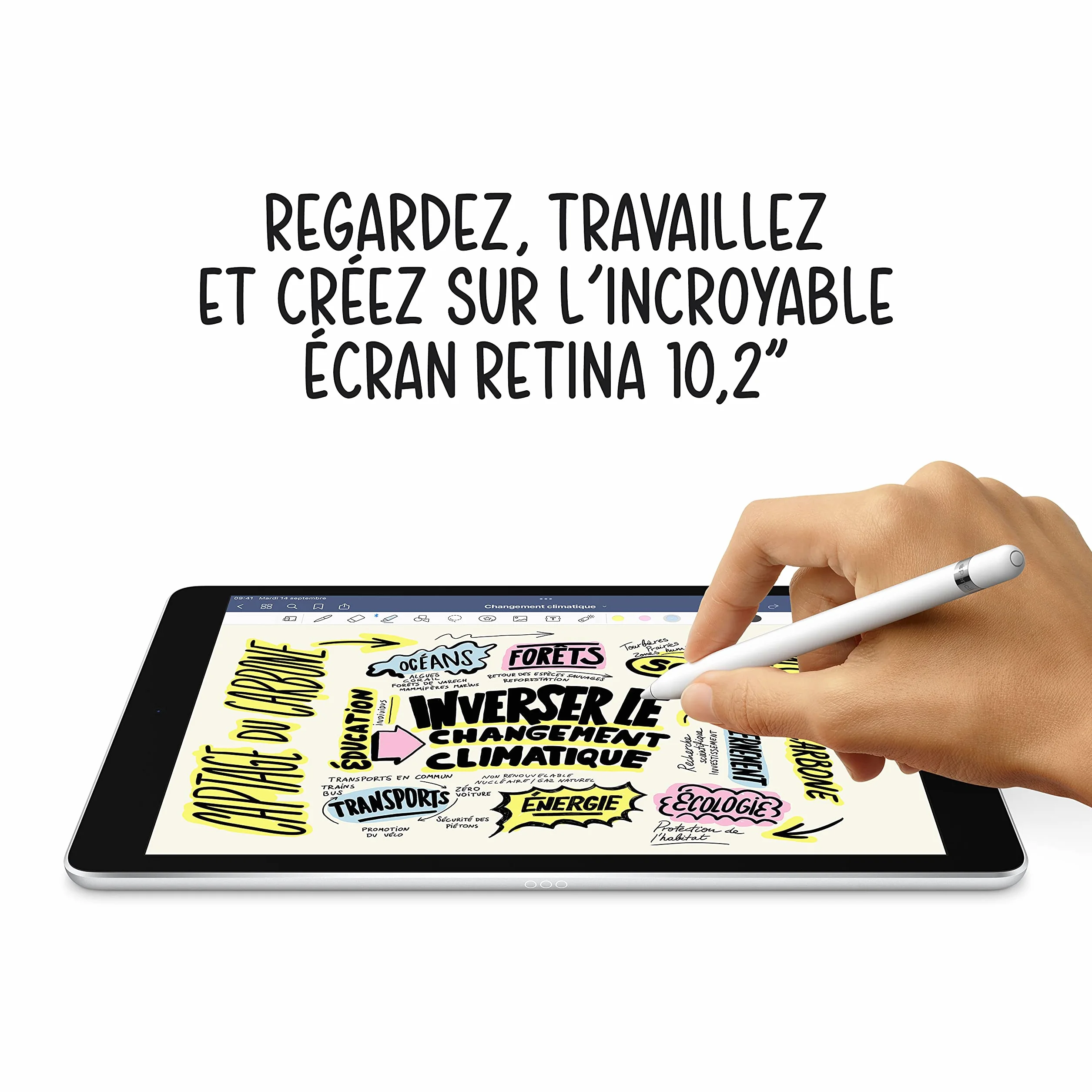 Apple iPad 10,2" Wi-Fi + Cellulaire 64 Go Gris Sidéral Reconditionné