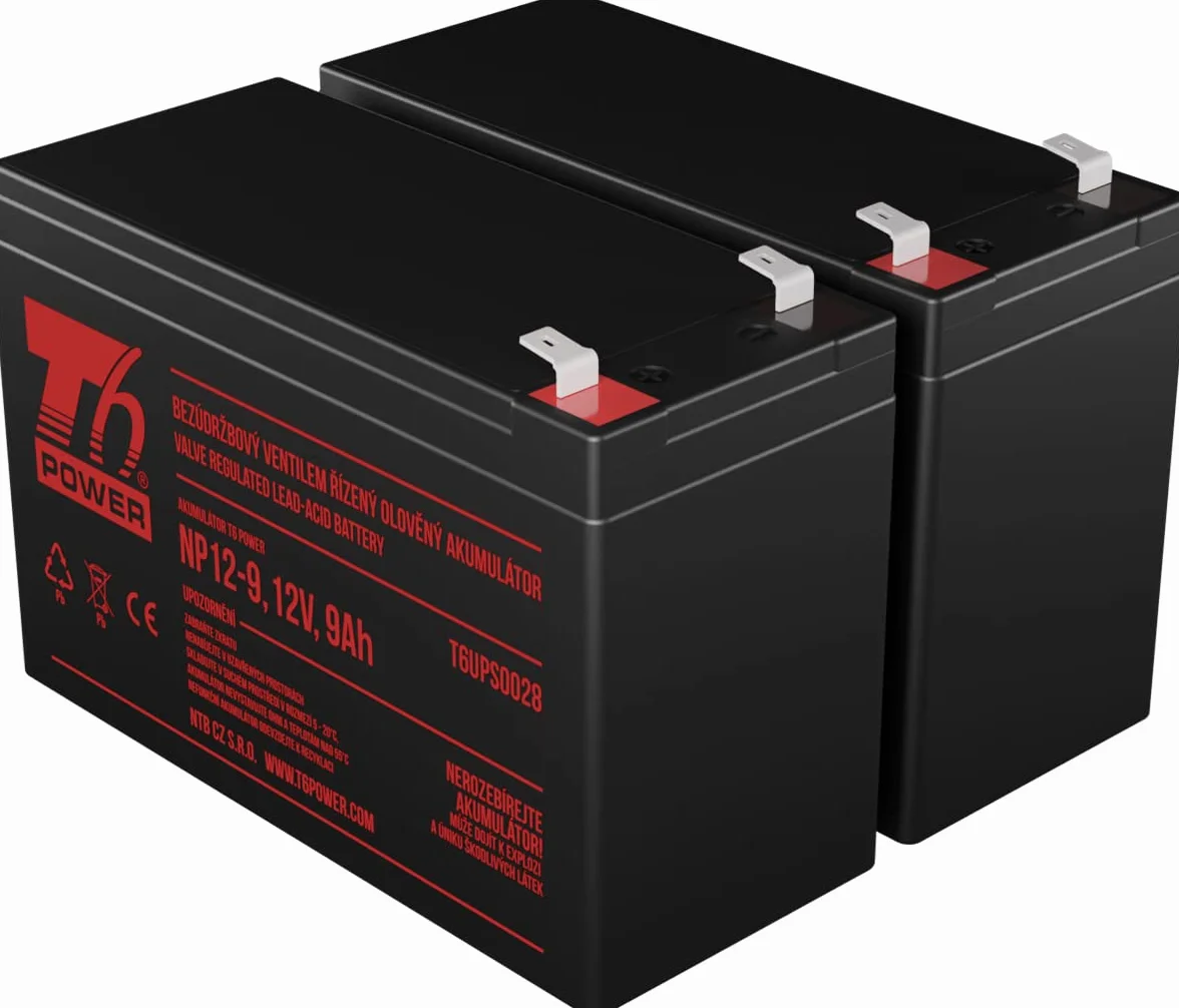 Jeu de Batteries T6 Power pour Eaton Ellipse ECO 1600VA VRLA 12V