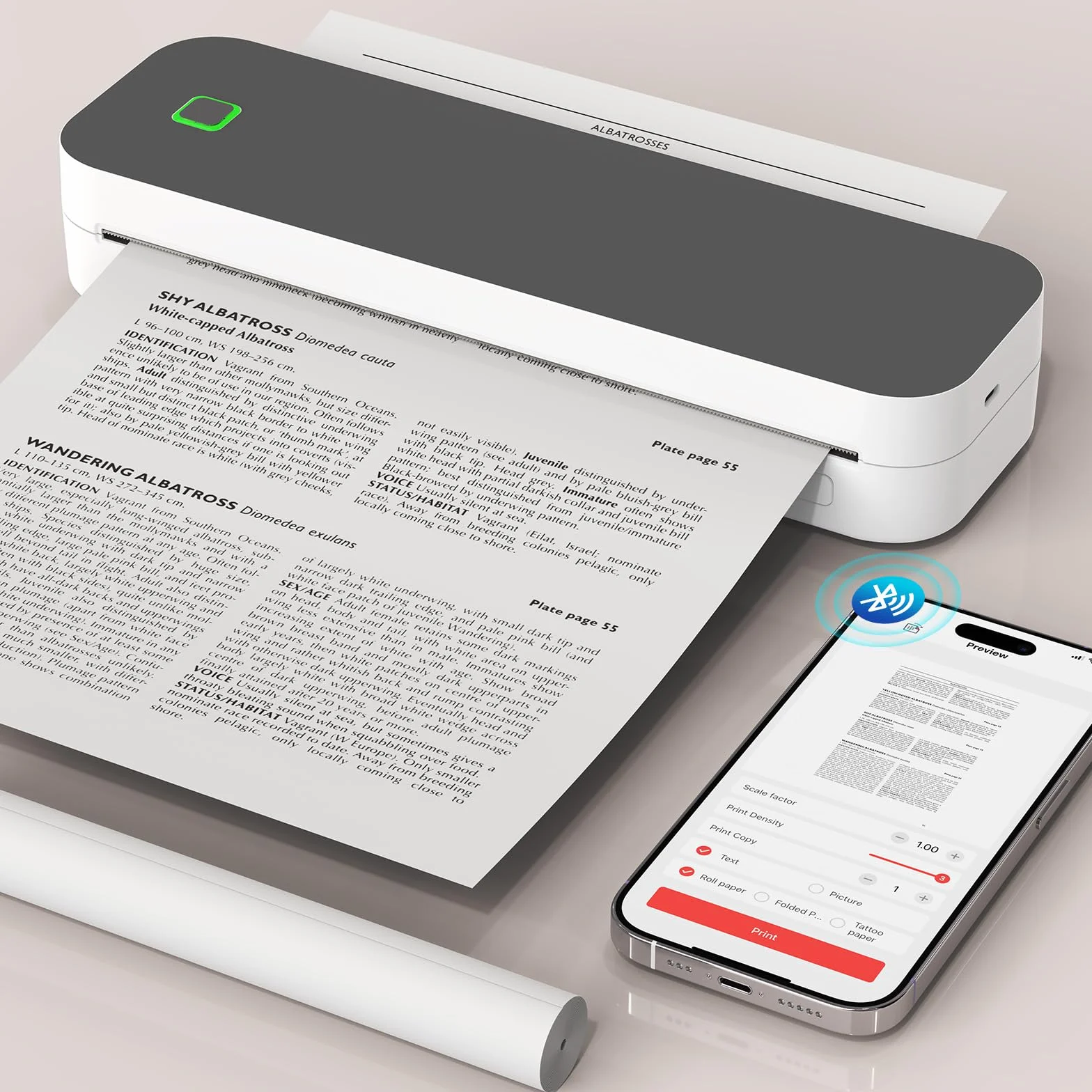 Imprimante Thermique Bluetooth A4, Compatible Android iOS Ordinateur Gris foncé