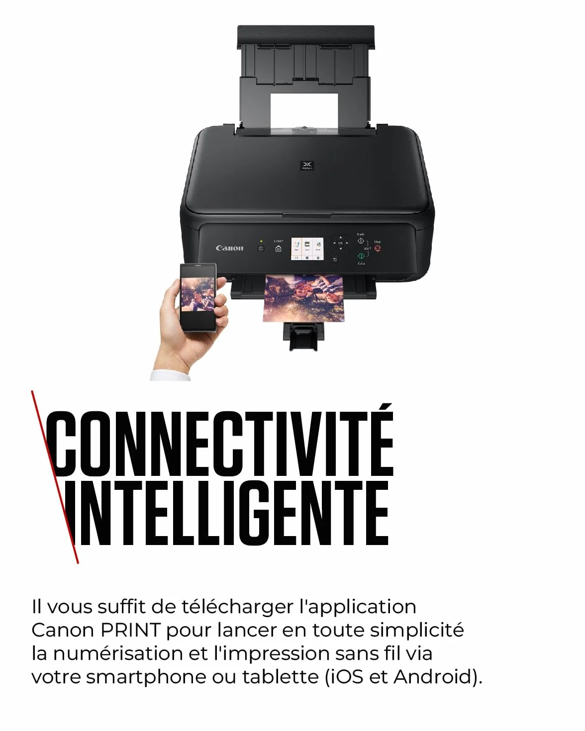 Canon 2228C006 Imprimante multifonction Jet d'encre A4 Noir