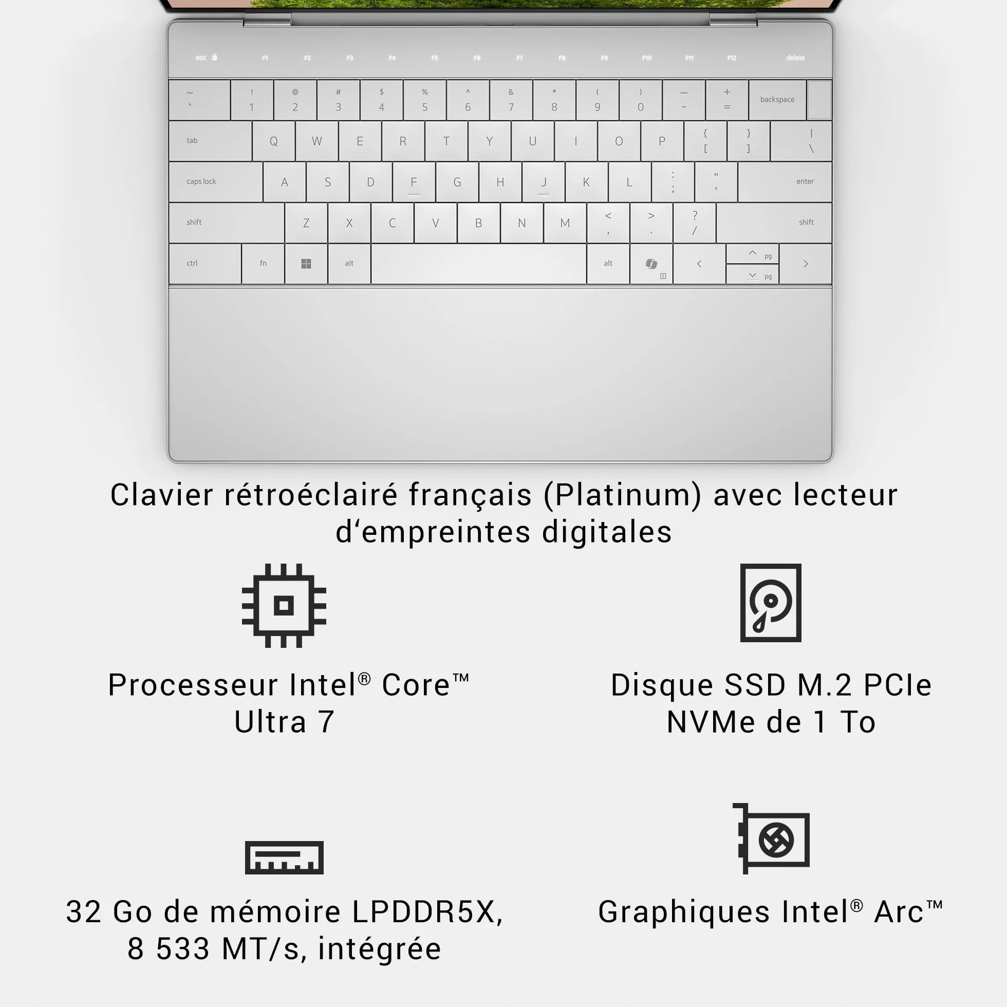 Dell XPS 13 9350 PC Portable 13.4" FHD+ 120 Hz Intel Core Ultra 7 Intel Evo Edition 32 Go RAM 1 To SSD Intel Arc Windows 11 Home Clavier rétroéclairé AZERTY