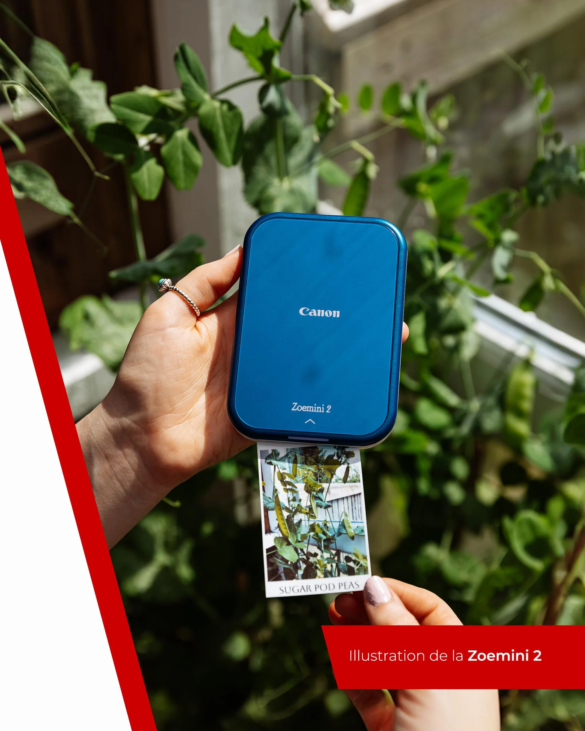 Canon Zoemini 2 Imprimante Photo Portable Bluetooth 5.0 Type-C Bleu Marin