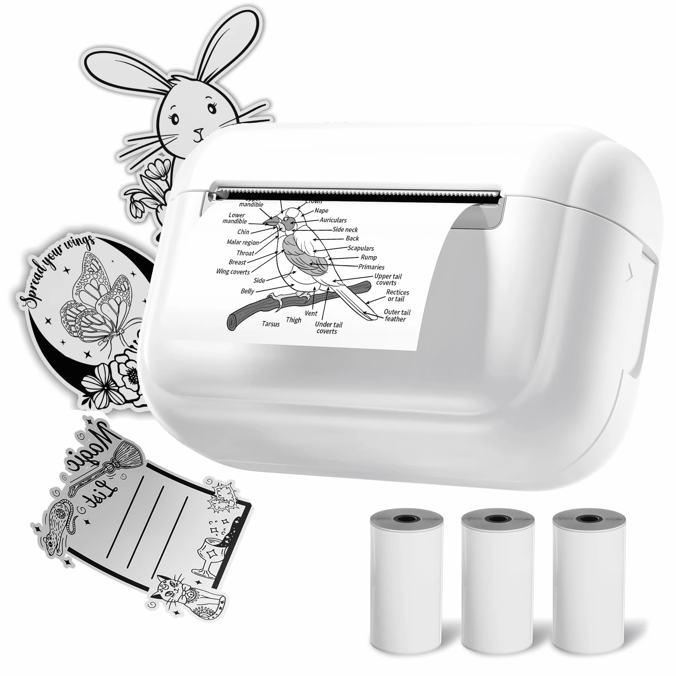 Mini Imprimante Photo Portable Q02E Sans Encre Thermique Bluetooth Compatible iPhone Pad Blanc