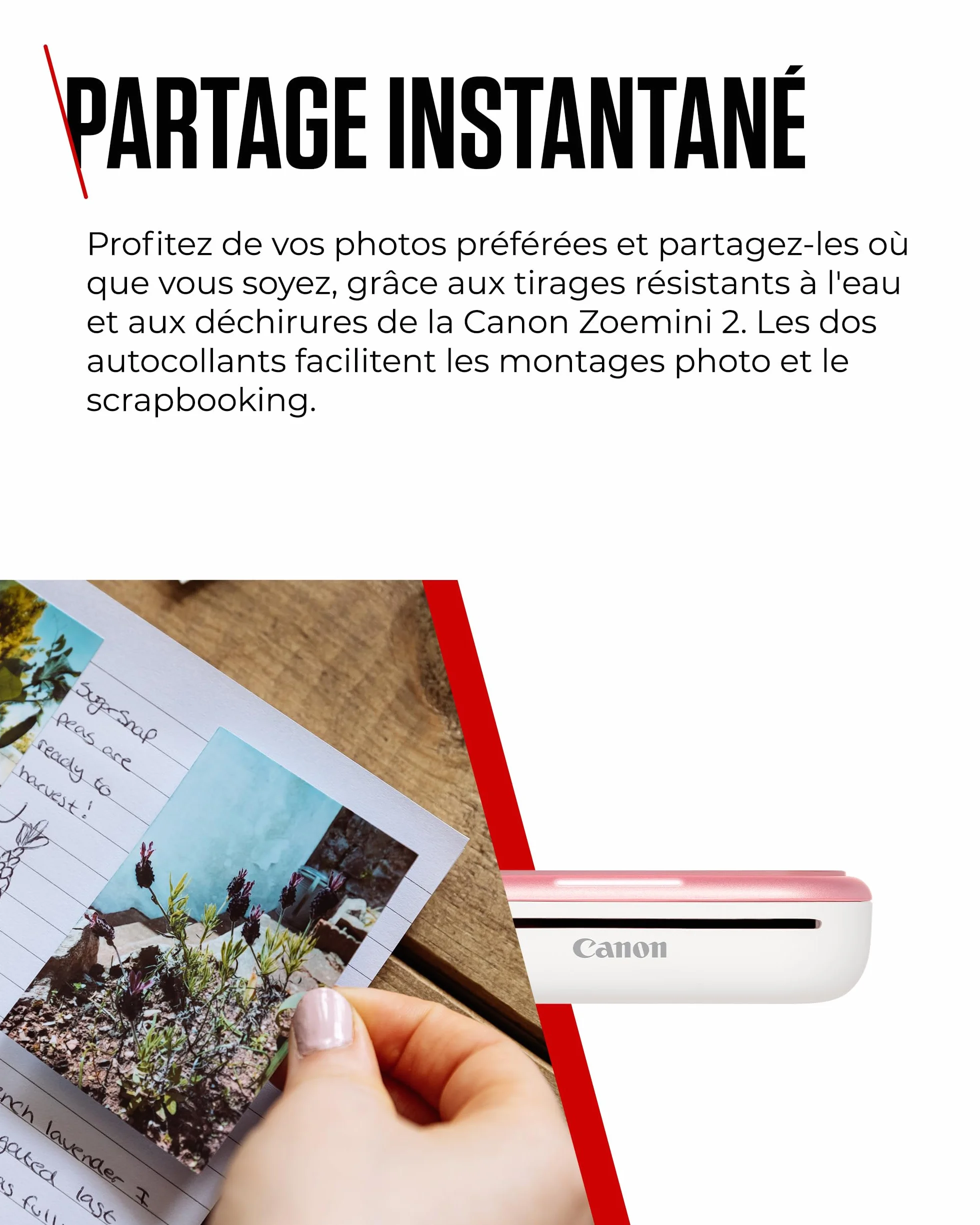 Canon Zoemini 2 Kit d'impression Imprimante Photo Portable Bluetooth 5.0 USB-C Rose Gold